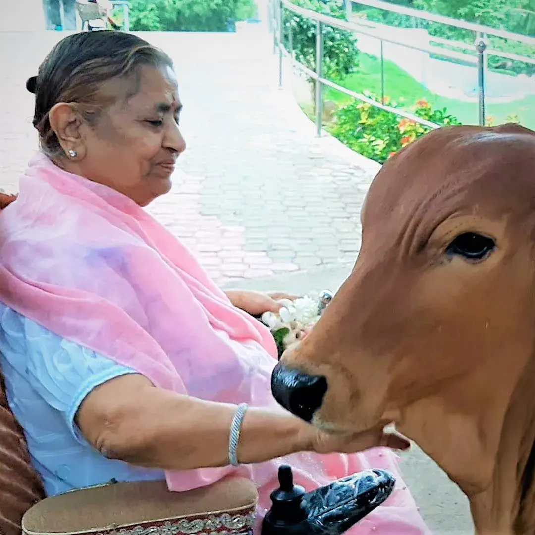 Shri Maiya Ji's today's darshan